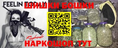 гидра Новозыбков