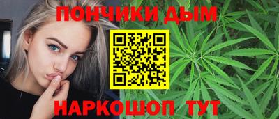 гидра Новозыбков