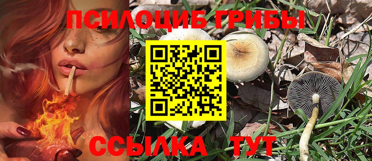 Галлюциногенные грибы GOLDEN TEACHER Сафоново